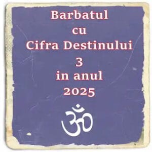 analiza numerologica bărbatul cu cifra destinului 3 in 2025