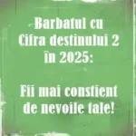 numerologie bărbatul cu cifra destinului 2 in anul 2025