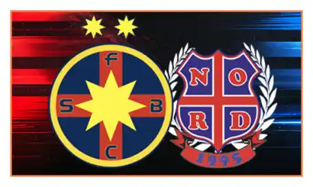 Ce spun cifrele despre viitorul echipei FCSB în 2025