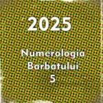 Destinul barbatului cu cifra destinului 5 in 2025